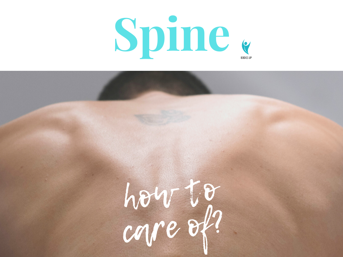 Spine – a quick guide on how to care for it?